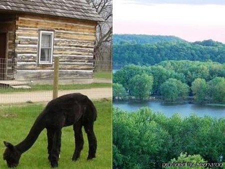 Galena Log Cabin Getaway 外观 照片